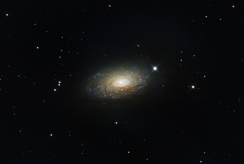 M 63 - Die Sonnenblumen-Galaxie.jpg