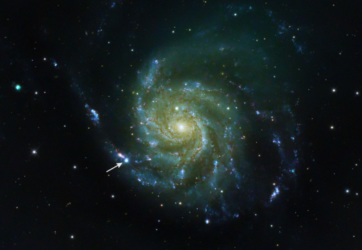 M 101 - Die Feuerrad-Galaxie mit Supernova 2023ixf