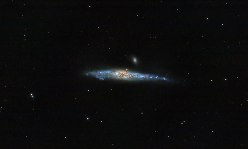 NGC 4631 - Die Wal-Galaxie.jpg