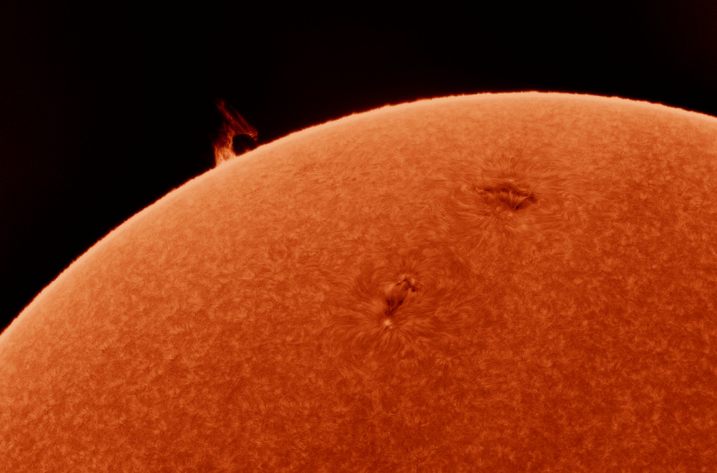 Sonne mit Sonnenflecken und Protuberanzen in Ha-Licht.jpg
